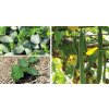 Eatgreen Lufa Na Myti Se Snurkou 1728 3