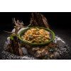 adventure menu sens penne s kreolskym kuretem 185 g 18466