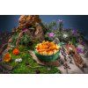 adventure menu kure na paprice s testovinami 85 g 2454 1