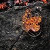 Fire N Grill In Usekomp 2